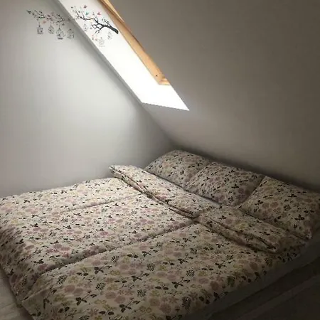 Maison Rosmina Сasa de vacaciones Braşov